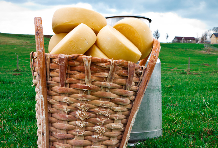 produção do queijo