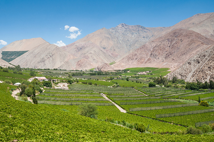 vinícolas do chile