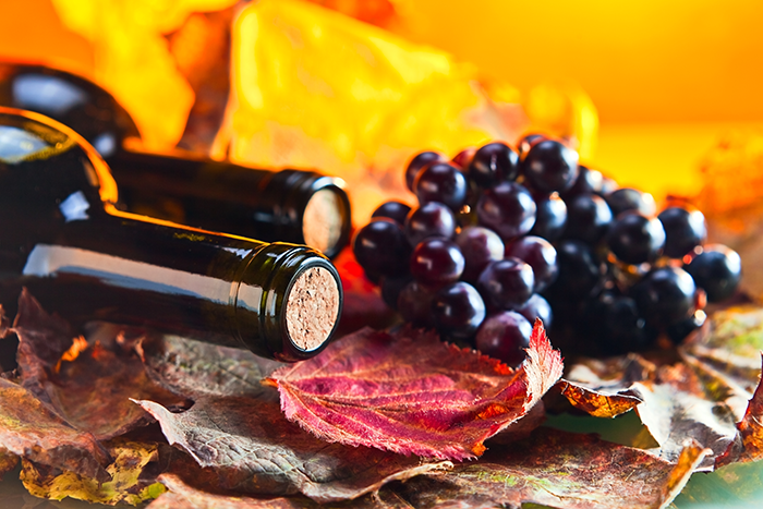 vinhos para outono