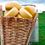 produção do queijo